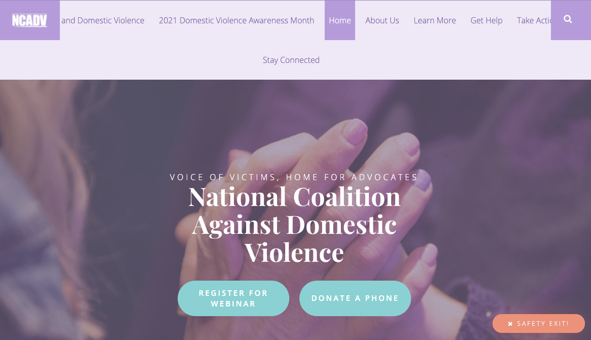 national domestic violence organizations