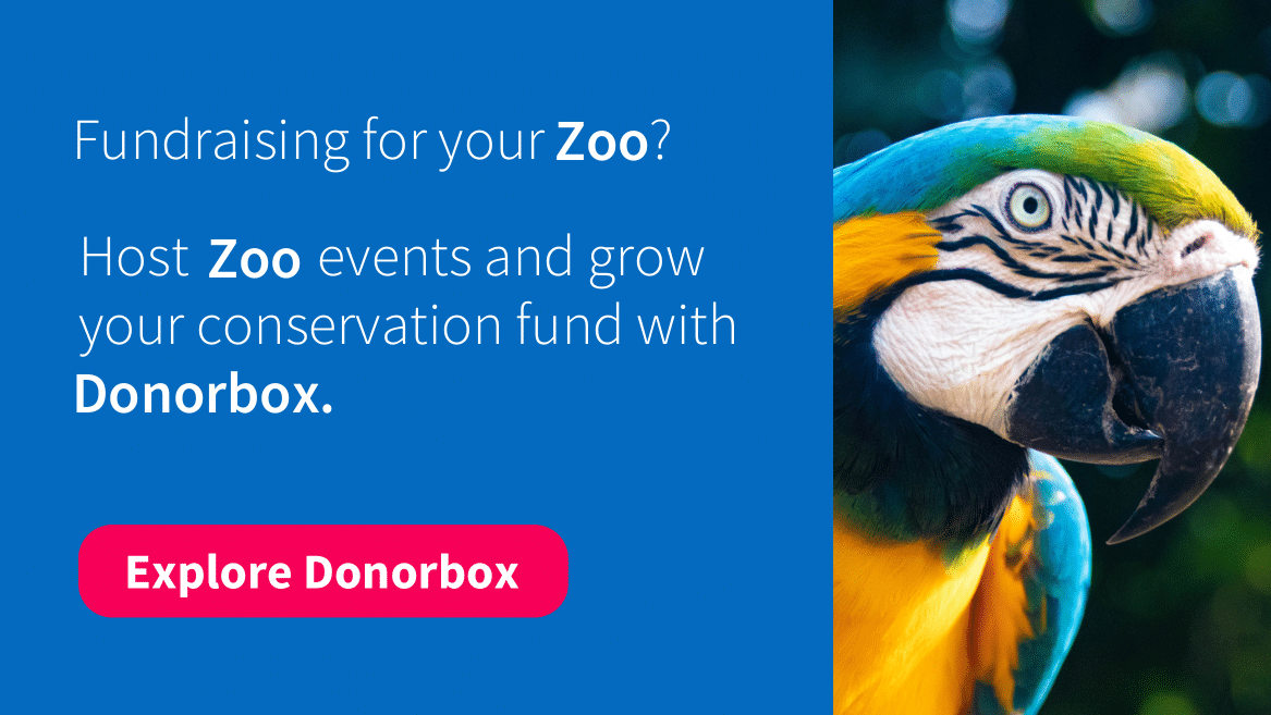 Donorbox Zoo Fundraising