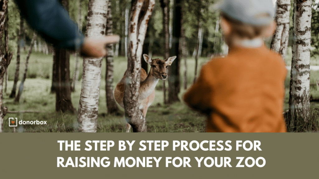 The Step by Step Process for Raising Money for your Zoo