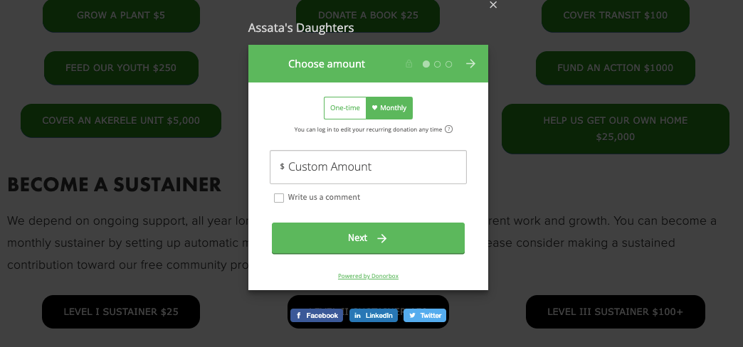Custom amount option at Donorbox membership software