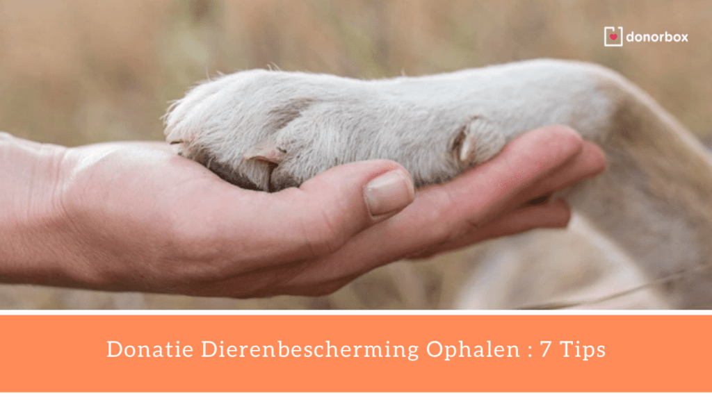 Donatie dierenbescherming  : 7 Tips voor meer donaties