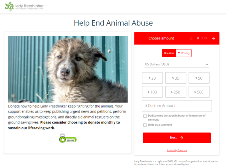 17 Best Animal Charities You Can Donate To