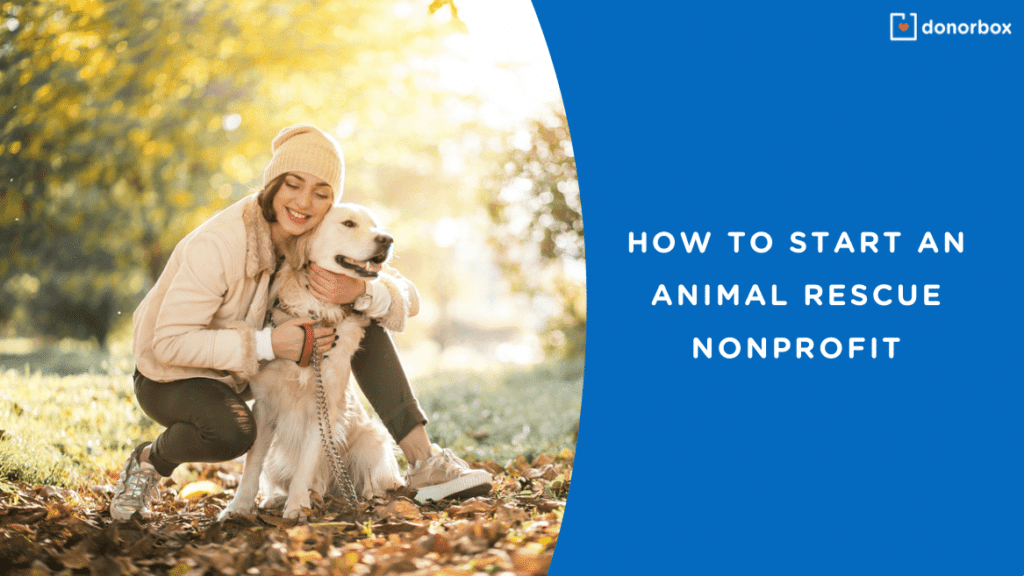 How to Start an Animal Rescue Nonprofit | The Ultimate Guide