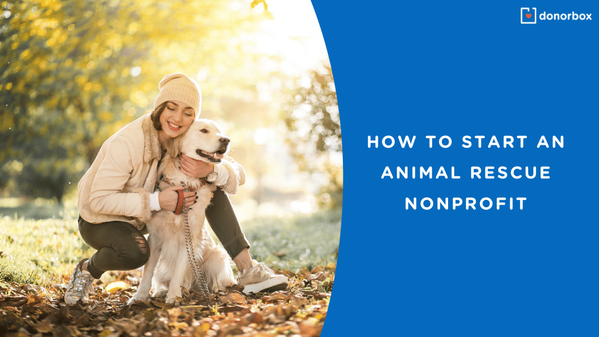 How to Start an Animal Rescue Nonprofit | The Ultimate Guide