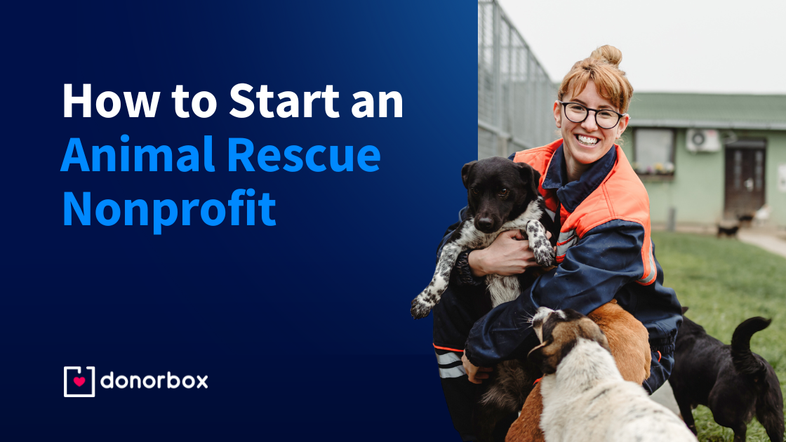 How to Start an Animal Rescue Nonprofit