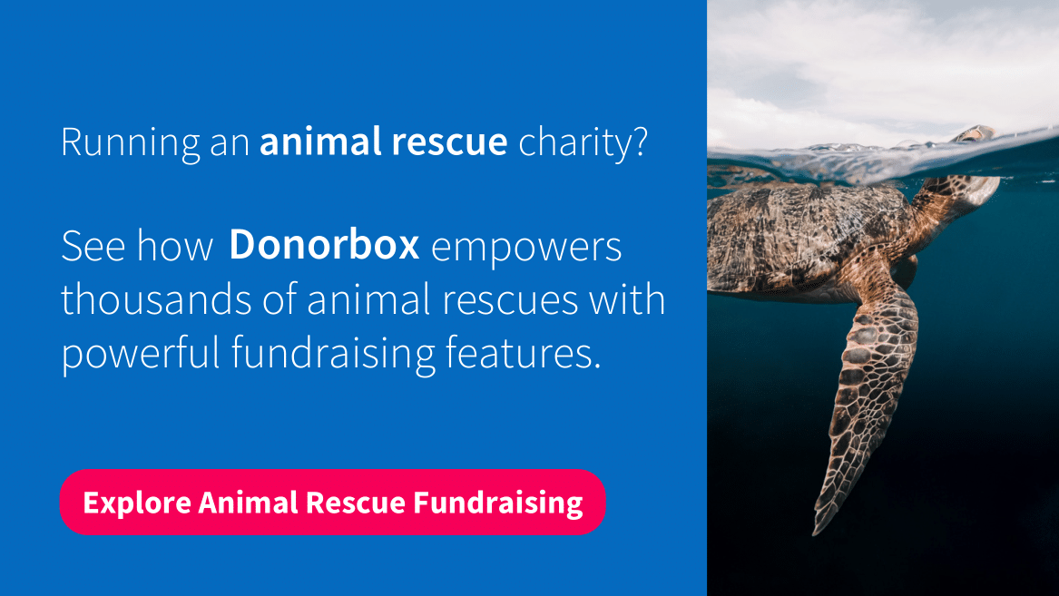 Donorbox Animal Rescue Fundraising