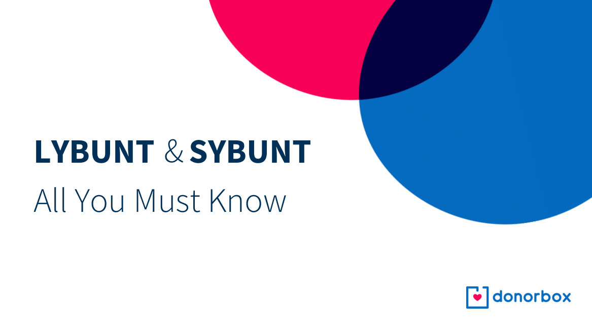 What are LYBUNT and SYBUNT Reports? [All You Must Know]