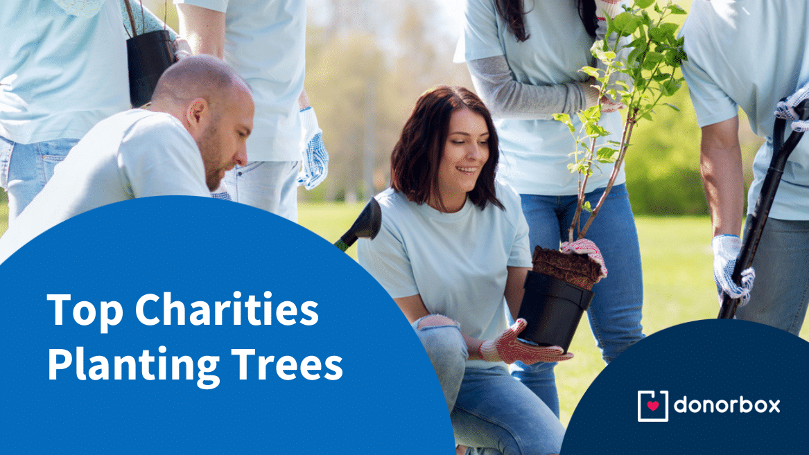 best charities for planting trees