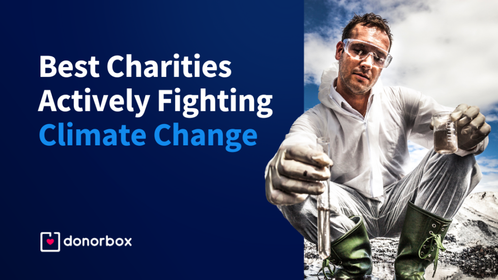 8 Best Charities Actively Fighting Climate Change