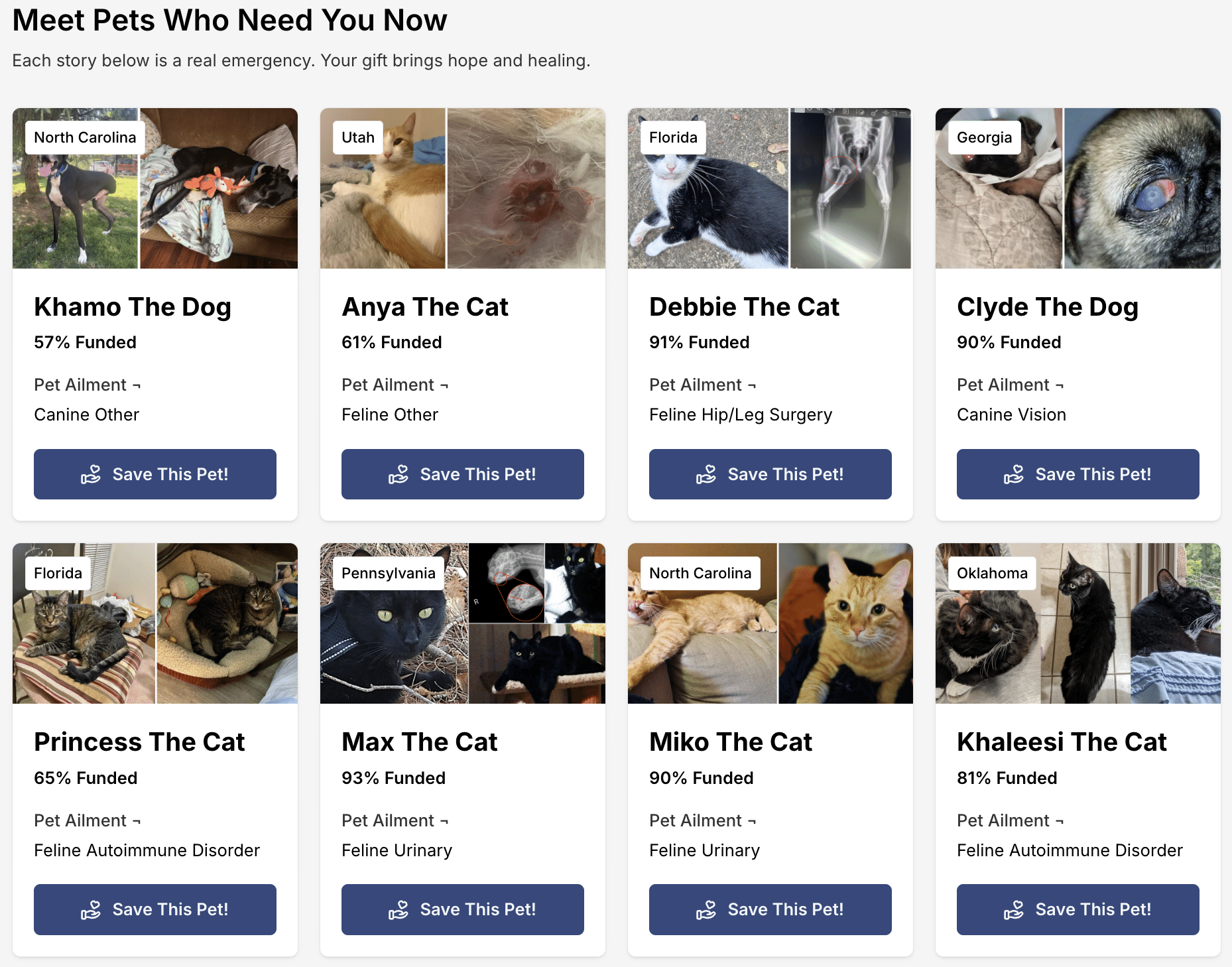 Screenshot of animals receiving care from For the Love of Alex, an animal nonprofit organization