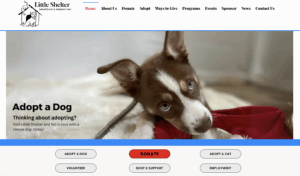 Little Shelter homepage