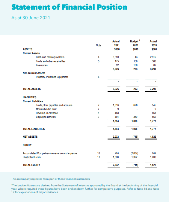 Balance Sheet For Non Profit Organisation Template