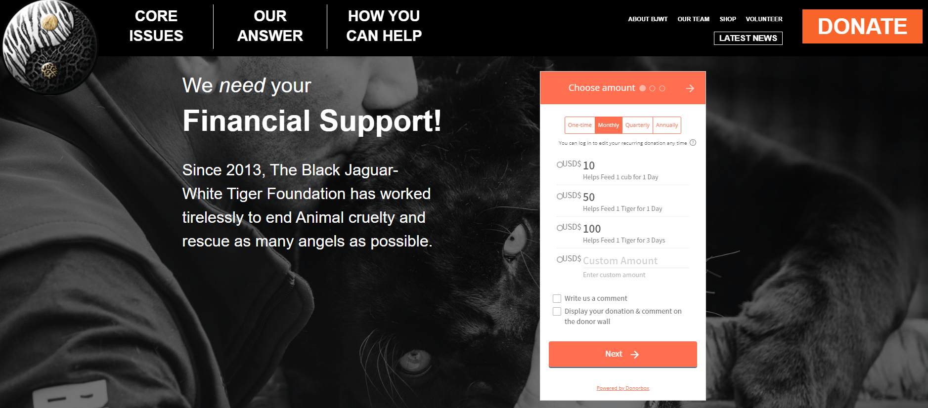 donation landing page - embedded Donorbox form