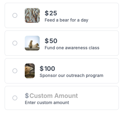 Screenshot showing a donation form with images for each ask amount.