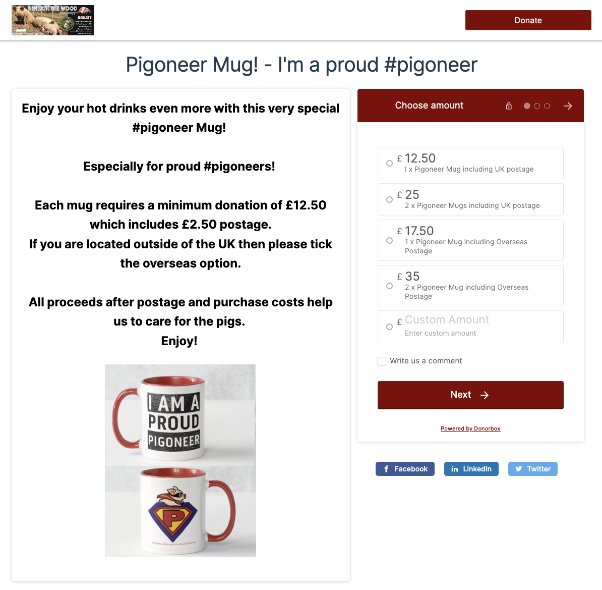 Example of using a Donorbox donation page for product fundraising. Fundraiser is selling mugs. 