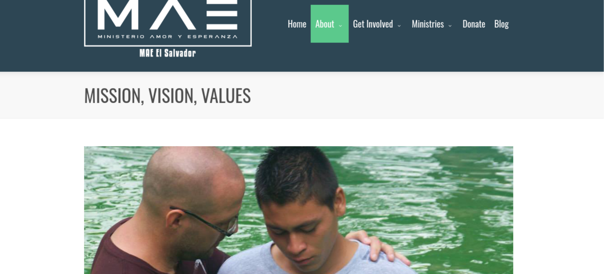Screenshot of MAE's website. 