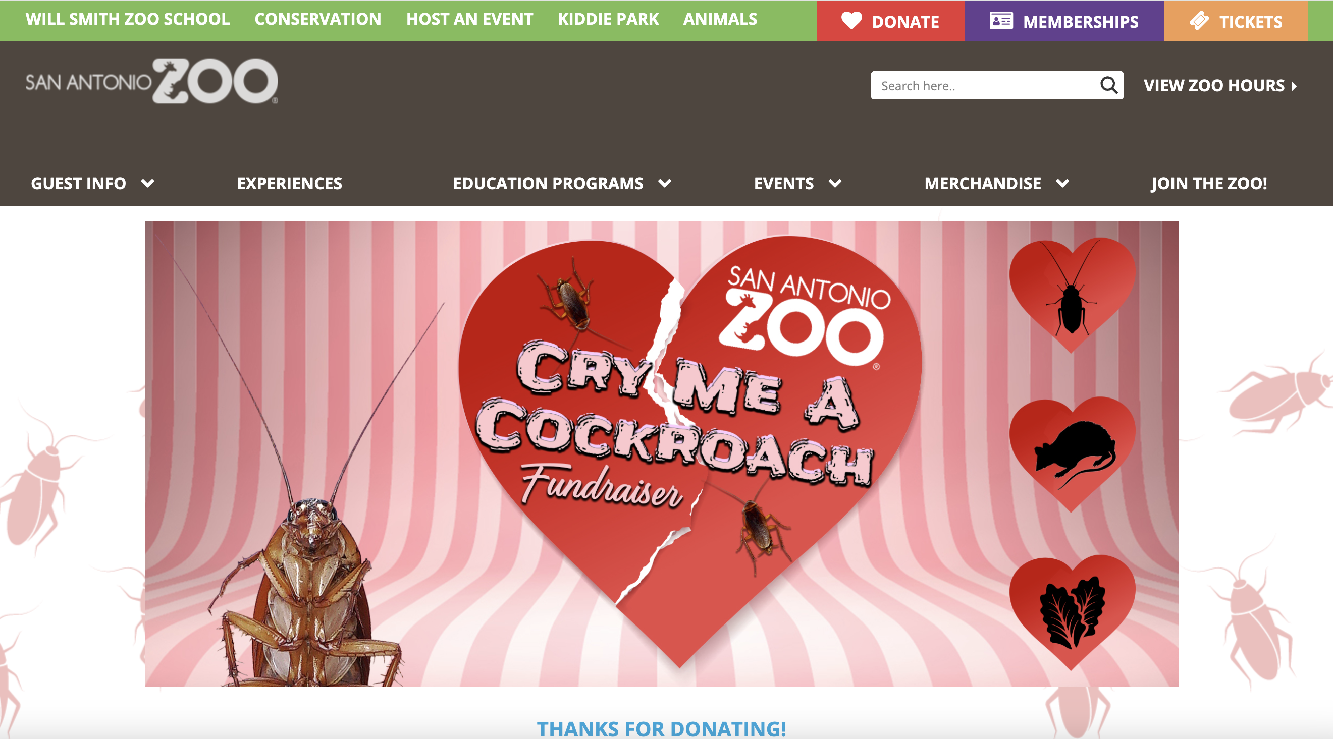 Screenshot of the San Antonio Zoo's campaign landing page. 