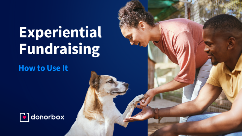 Experiential Fundraising: What It Is & How to Use It