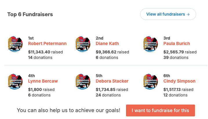 Screenshot showing the fundraisers participating in this peer-to-peer charity challenge. 
