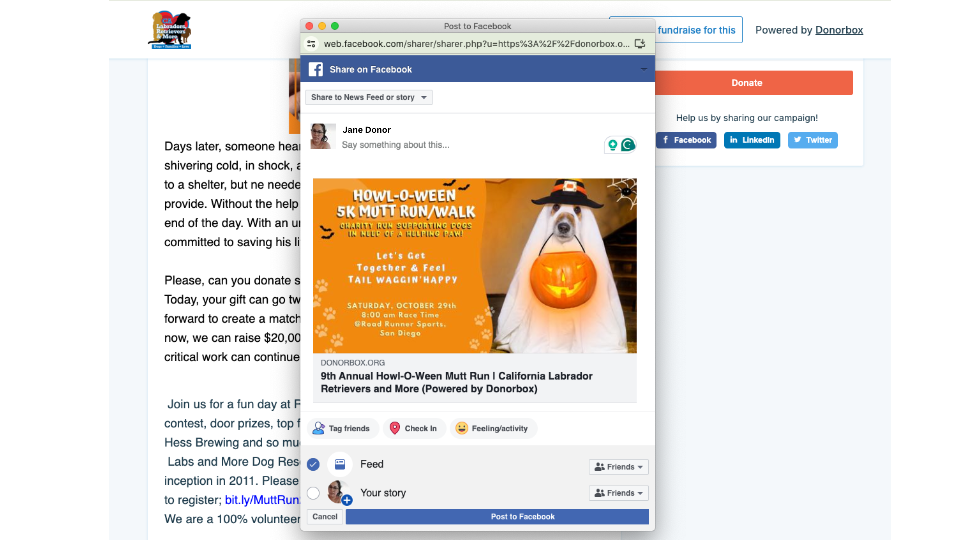 Screenshot showing the social media sharing options on a donation page. 