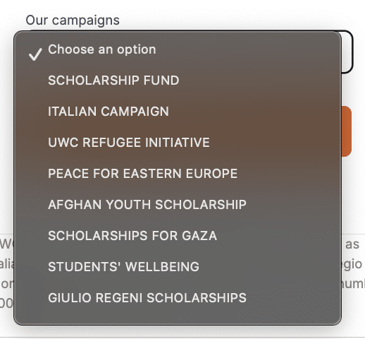 Screenshot of an organization's donation designation options on their Donorbox donation form