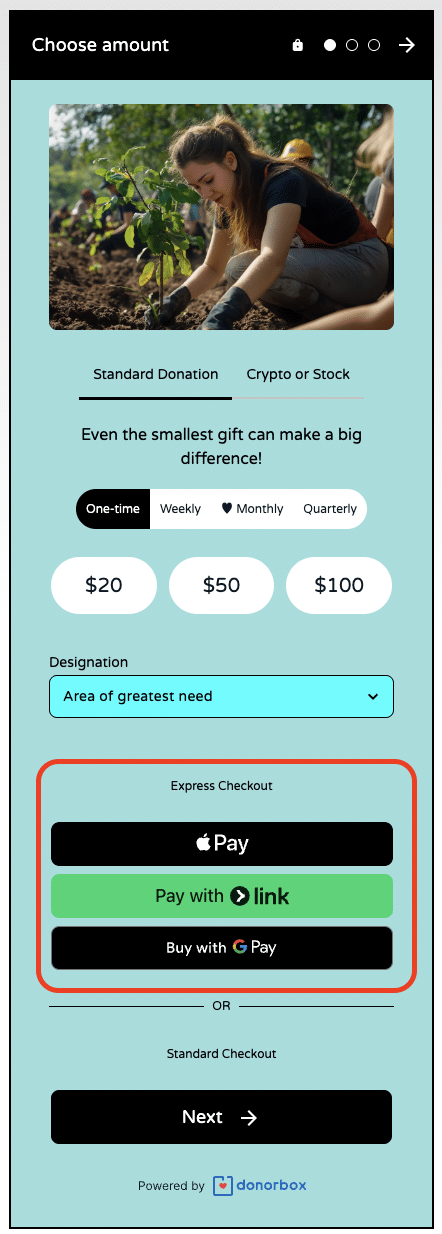 Screenshot of a Donorbox OmniGive donation form featuring the Express Checkout option