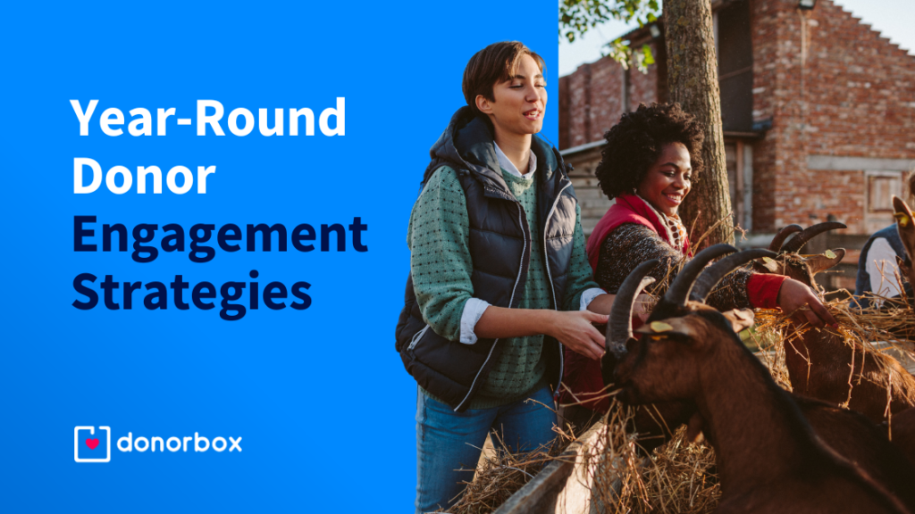 Year-Round Donor Engagement Strategies for Nonprofits | Ultimate Guide