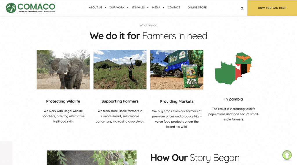 Community Conservation: How Local Action Powers Global Change