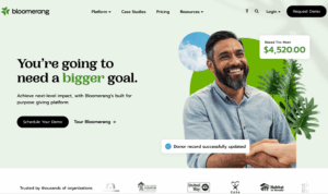 Screenshot of Bloomerang's Homepage