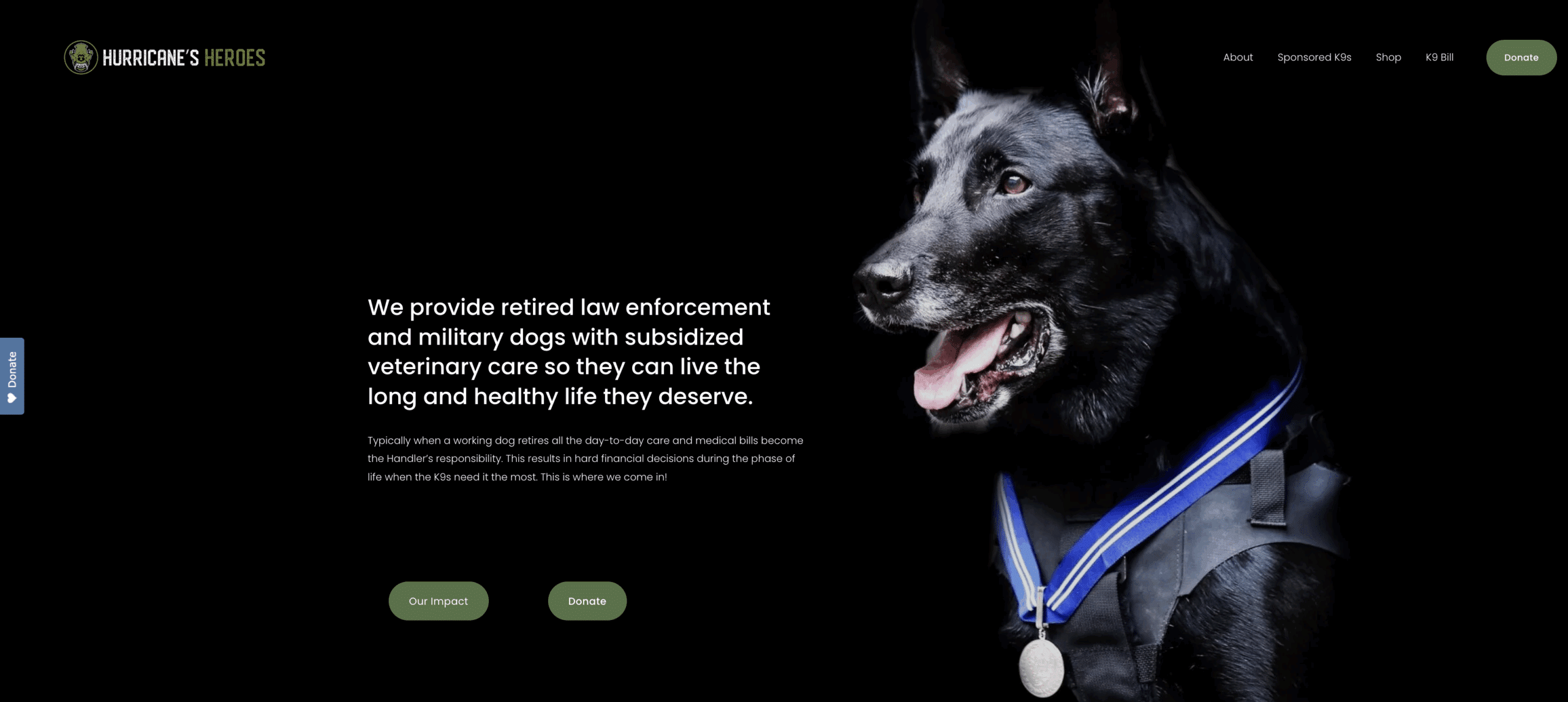 Screenshot of animal charity Hurricane's Heroes' homepage banner