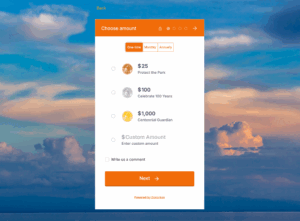 Screenshot of the Virunga National Park's donation form 