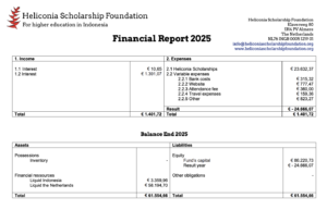 nonprofit financial statements_heliconia scholarship foundation example of a financial report in 2025